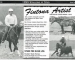 Old advert Fintona Artist 1999