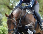 aramac-2013-ad-horse-trials