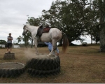 paris-lunging-over-tyre2